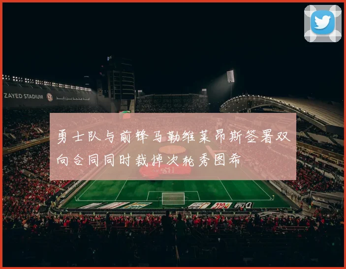 勇士队与前锋马勒维莱昂斯签署双向合同同时裁掉次轮秀图希