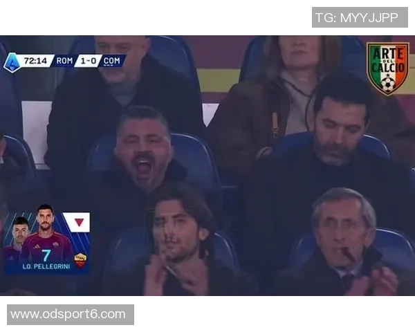 加图索与布冯亲临罗马比赛现场考察意大利球员表现 加图索与布冯亲临罗马比赛现场考察意大利球员表现