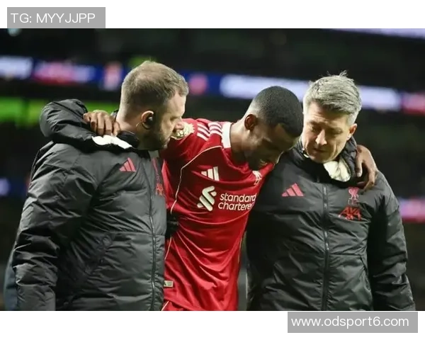 范德芬回应铲伤事件称向伊萨克发消息祝早日康复并非故意行为 范德芬回应铲伤事件称向伊萨克发消息祝早日康复并非故意行为